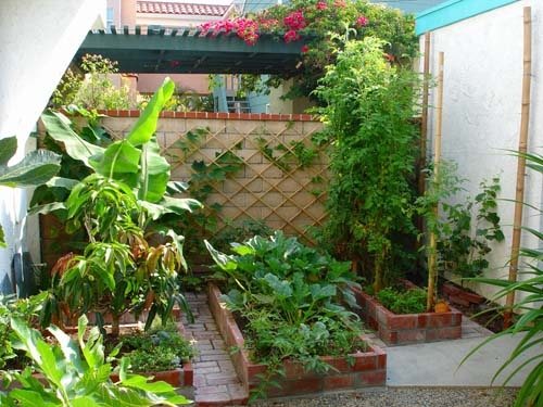 Edible Gardens
Garden Design
Calimesa, CA