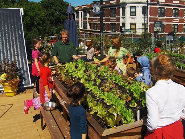 Farm to Table: Restaurants With Gardens
Garden Design
Calimesa, CA