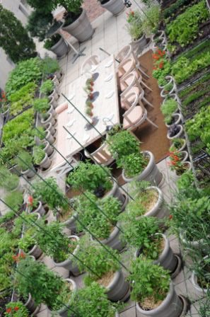 Farm to Table: Restaurants With Gardens
Garden Design
Calimesa, CA