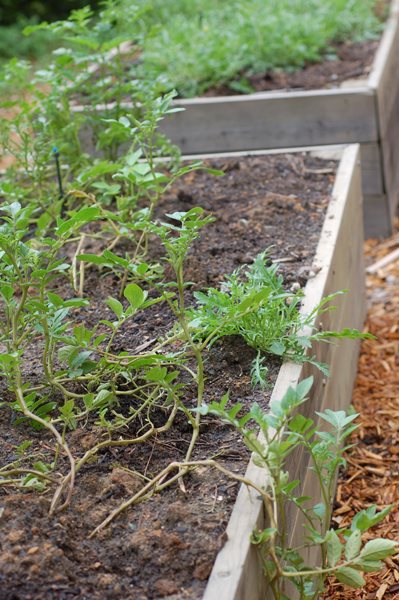 Farm to Table: Restaurants With Gardens
Garden Design
Calimesa, CA