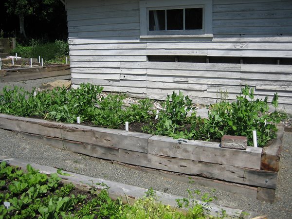 Farm to Table: Restaurants With Gardens
Garden Design
Calimesa, CA