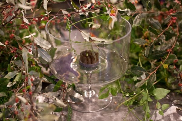FlowerSchool New York: Master Class with Ariella Chezar
Garden Design
Calimesa, CA
