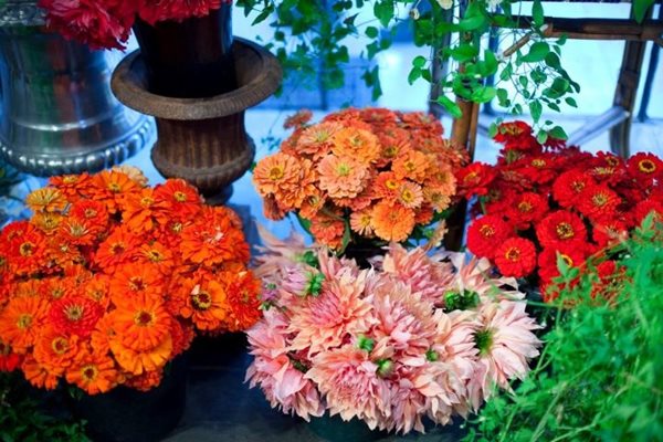 FlowerSchool New York: Master Class with Ariella Chezar
Garden Design
Calimesa, CA