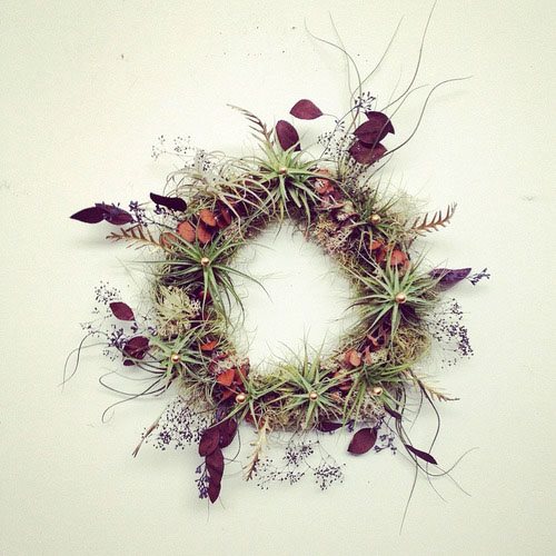 Fall Décor, Wreath, Airplants
From-the-Garden Wreaths for Holiday Decorating: Slideshow
Garden Design
Calimesa, CA