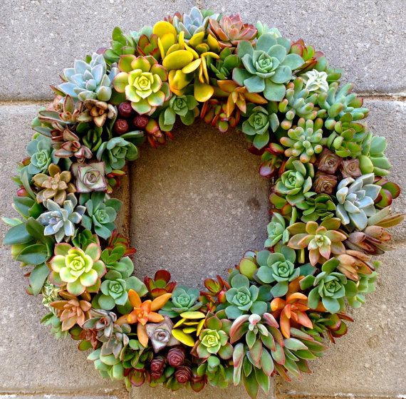 Fall Décor, Wreath
From-the-Garden Wreaths for Holiday Decorating: Slideshow
Garden Design
Calimesa, CA