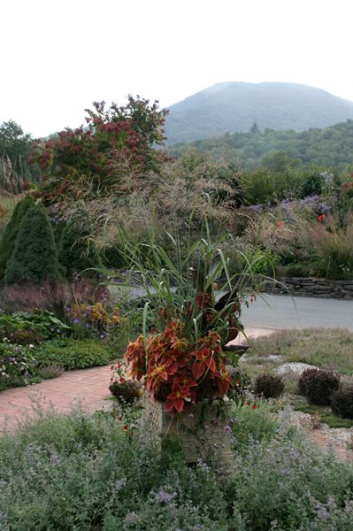 Frost in the Valley
Garden Design
Calimesa, CA
