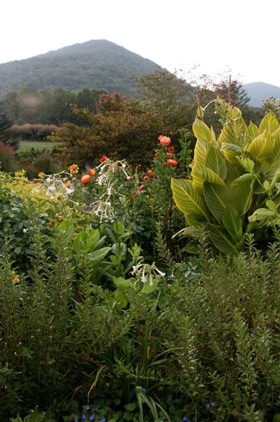 Frost in the Valley
Garden Design
Calimesa, CA
