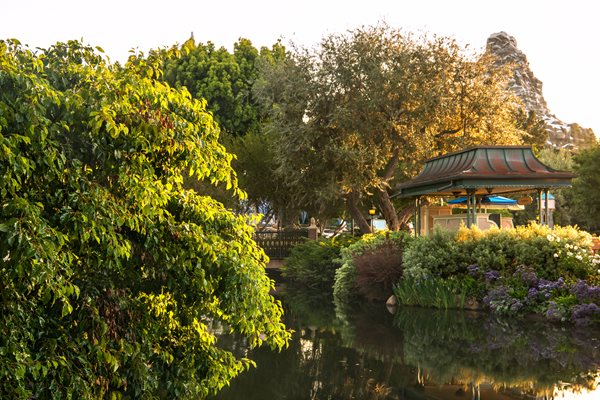 Garden Design’s Horticultural Tour of Disneyland - Gallery | Garden Design