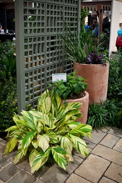 Garden Design's Ultimate Outdoor Home
Garden Design
Calimesa, CA