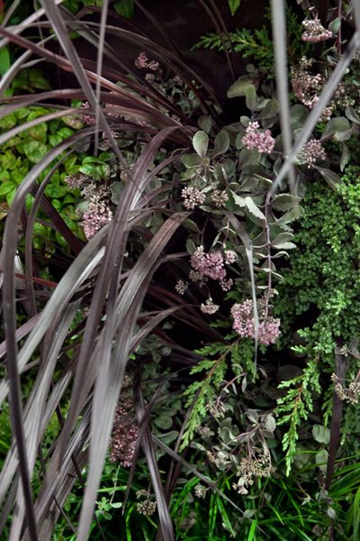 Garden Design's Ultimate Outdoor Home
Garden Design
Calimesa, CA