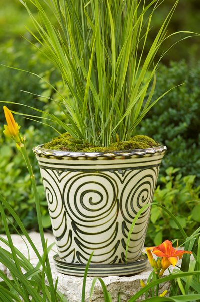 Garden Destination: Louisville, Kentucky
Garden Design
Calimesa, CA