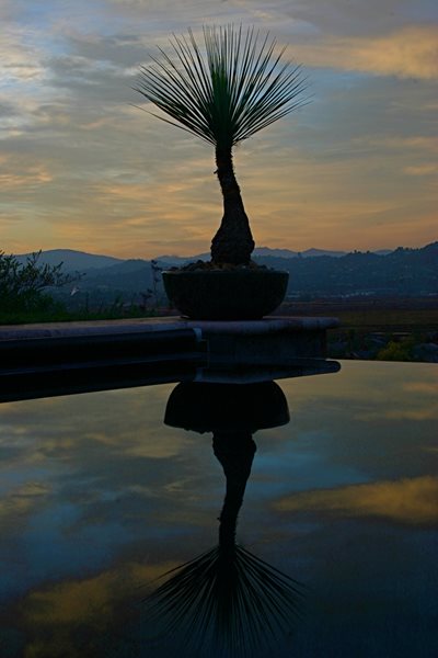Gary Gragg
Garden Design
Calimesa, CA