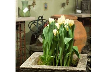 Gramercy Garden Arts and Antiques
Garden Design
Calimesa, CA