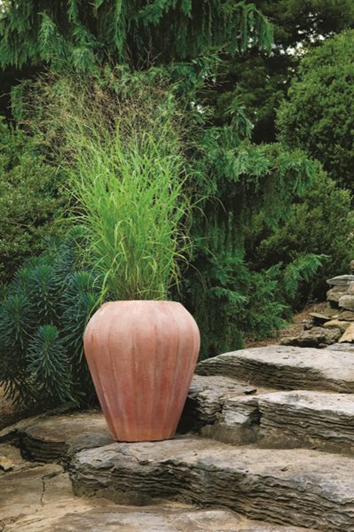 Grasses as Container Plants
Cheekwood Botanical Garden and Museum of Art
Nashville, TN