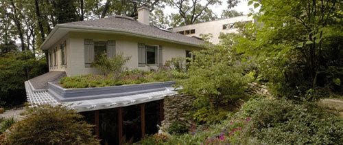 Green Roof Pictures
Garden Design
Calimesa, CA