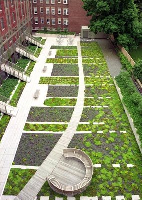 Green Roof Pictures
Garden Design
Calimesa, CA