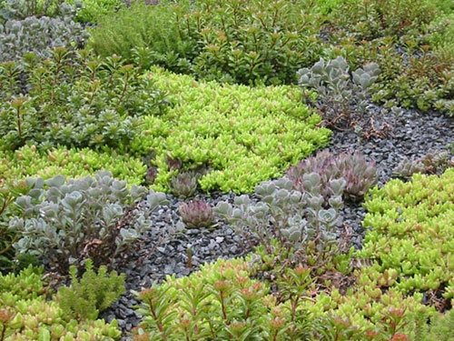 Green Roof Pictures
Garden Design
Calimesa, CA