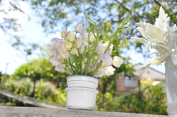 Growing and Arranging Sweet Peas
Garden Design
Calimesa, CA