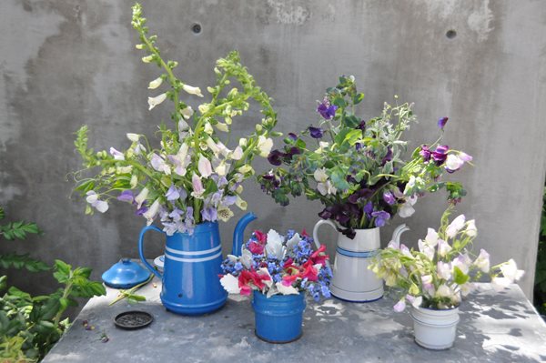 Growing and Arranging Sweet Peas
Garden Design
Calimesa, CA