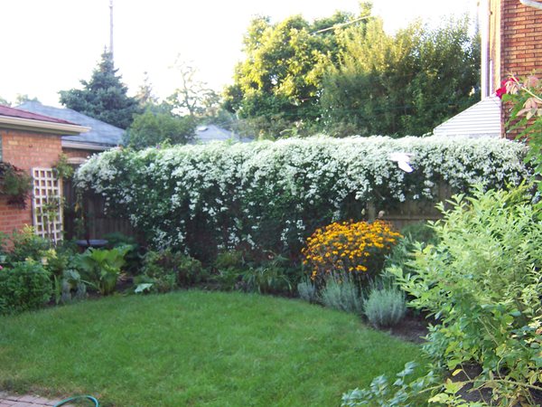 Growing Locally and Sustainably in Chicago
Cathleen and Eric Jensen (Homeowners)
Chicago, IL