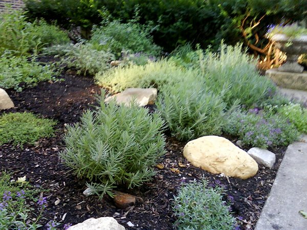 Growing Locally and Sustainably in Chicago
Garden Design
Calimesa, CA