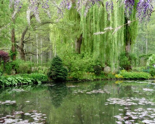 Heather Lenkin's Tour of the Netherlands and France
Garden Design
Calimesa, CA