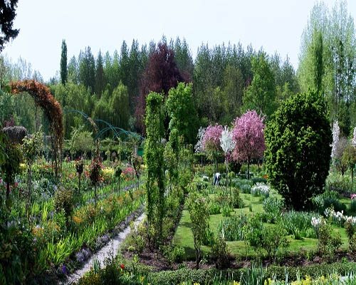 Heather Lenkin's Tour of the Netherlands and France
Garden Design
Calimesa, CA