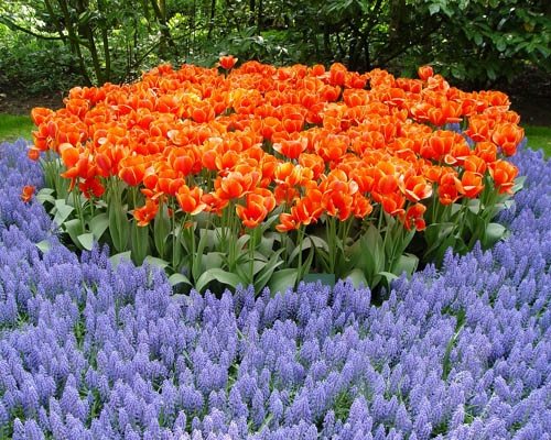 Heather Lenkin's Tour of the Netherlands and France
Garden Design
Calimesa, CA