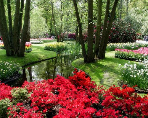 Heather Lenkin's Tour of the Netherlands and France
Garden Design
Calimesa, CA