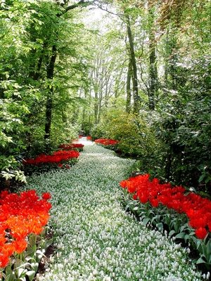 Heather Lenkin's Tour of the Netherlands and France
Garden Design
Calimesa, CA