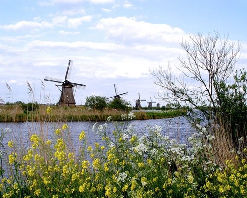Heather Lenkin's Tour of the Netherlands and France
Garden Design
Calimesa, CA