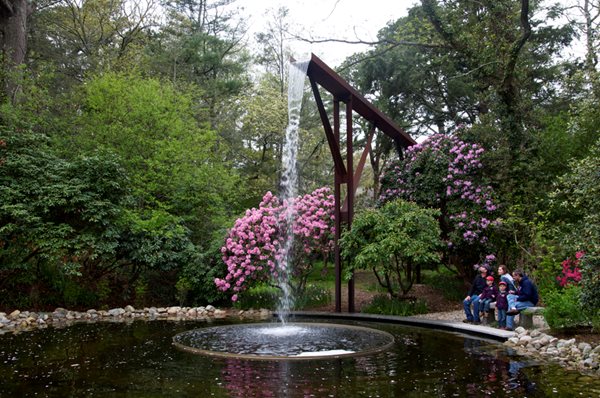 Heritage Museums and Gardens Rhododendrons Festival
Garden Design
Calimesa, CA
