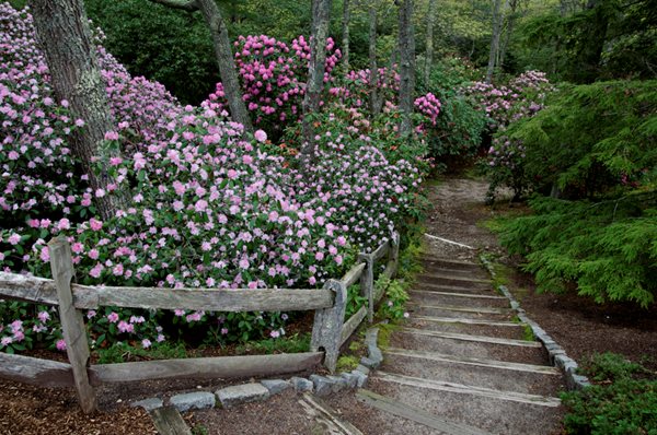 Heritage Museums and Gardens Rhododendrons Festival
Garden Design
Calimesa, CA