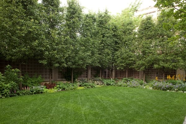 Hoerr Schaudt Garden in Chicago's Lincoln Park
Garden Design
Calimesa, CA
