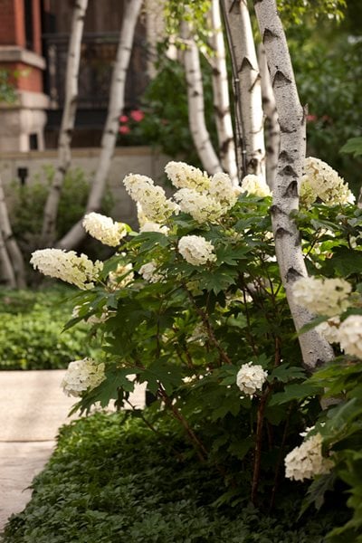 Hoerr Schaudt Garden in Chicago's Lincoln Park
Garden Design
Calimesa, CA