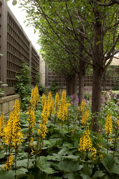 Hoerr Schaudt Garden in Chicago's Lincoln Park
Garden Design
Calimesa, CA