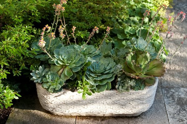 Hoerr Schaudt Garden in Chicago's Lincoln Park
Hoerr Schaudt
Chicago, IL
