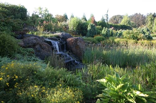Hotel Gardens Worth Visiting
Garden Design
Calimesa, CA
