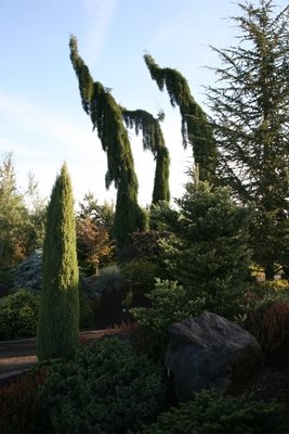Hotel Gardens Worth Visiting
Garden Design
Calimesa, CA