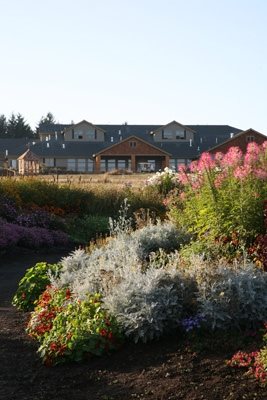 Hotel Gardens Worth Visiting
Garden Design
Calimesa, CA