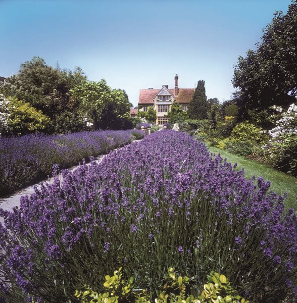 Hotel Gardens Worth Visiting
Garden Design
Calimesa, CA