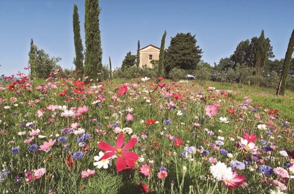 Hotel Gardens Worth Visiting
Garden Design
Calimesa, CA