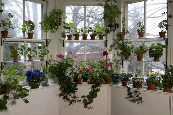 How To Design A Window Garden Gallery, Indoor Window Garden Shelves
