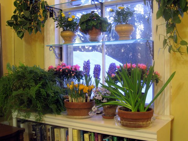 How to Design a Window Garden
Garden Design
Calimesa, CA