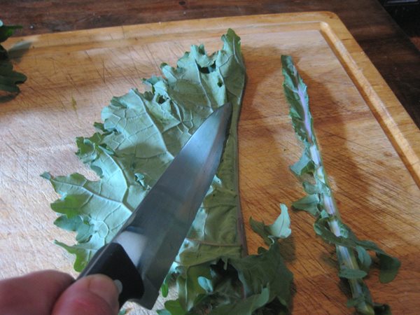 How to Preserve Your Harvest  Garden Design  Calimesa, CA