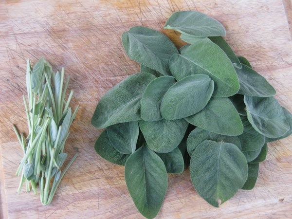 How to Preserve Your Harvest  Garden Design  Calimesa, CA
