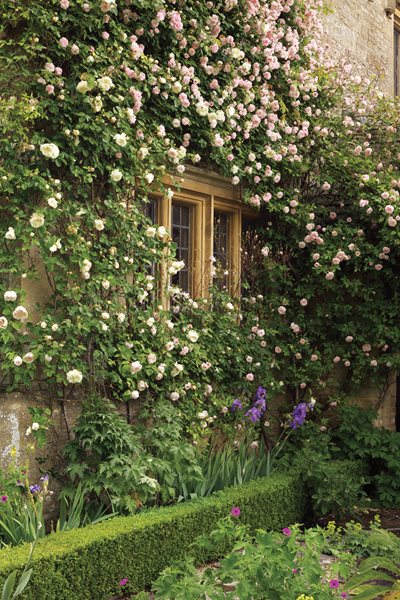 Isabel and Julian Bannerman's Romantic English Gardens, Slide Show - Gallery | Garden Design Isabel and Julian Bannerman's Romantic English Gardens, Slide Show - Gallery | Garden Design on Isabel And Julian Bannerman
id=73804