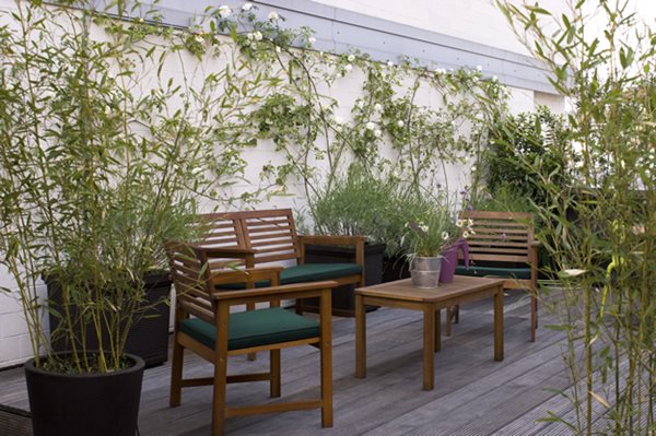 Italy: Green Terrace Roof Garden
Garden Design
Calimesa, CA
