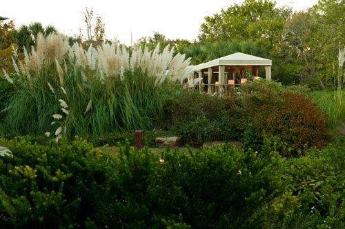 Lake Austin Spa Resort
Garden Design
Calimesa, CA