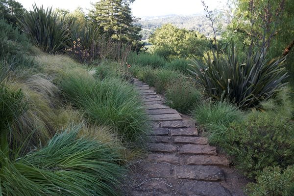 Landscape Design Pictures
MIX Garden
Healdsburg, CA